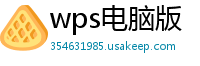 wps电脑版